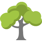 Fairfax Tree Removal Service