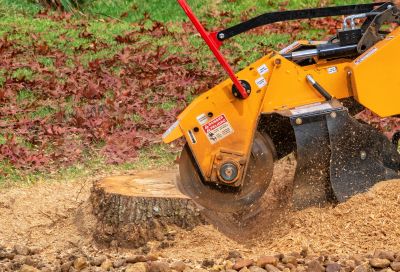Stump Grinding Finish